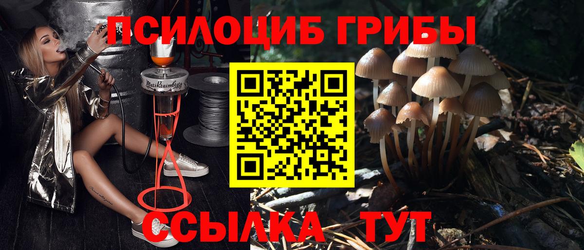 Галлюциногенные грибы GOLDEN TEACHER Минеральные Воды